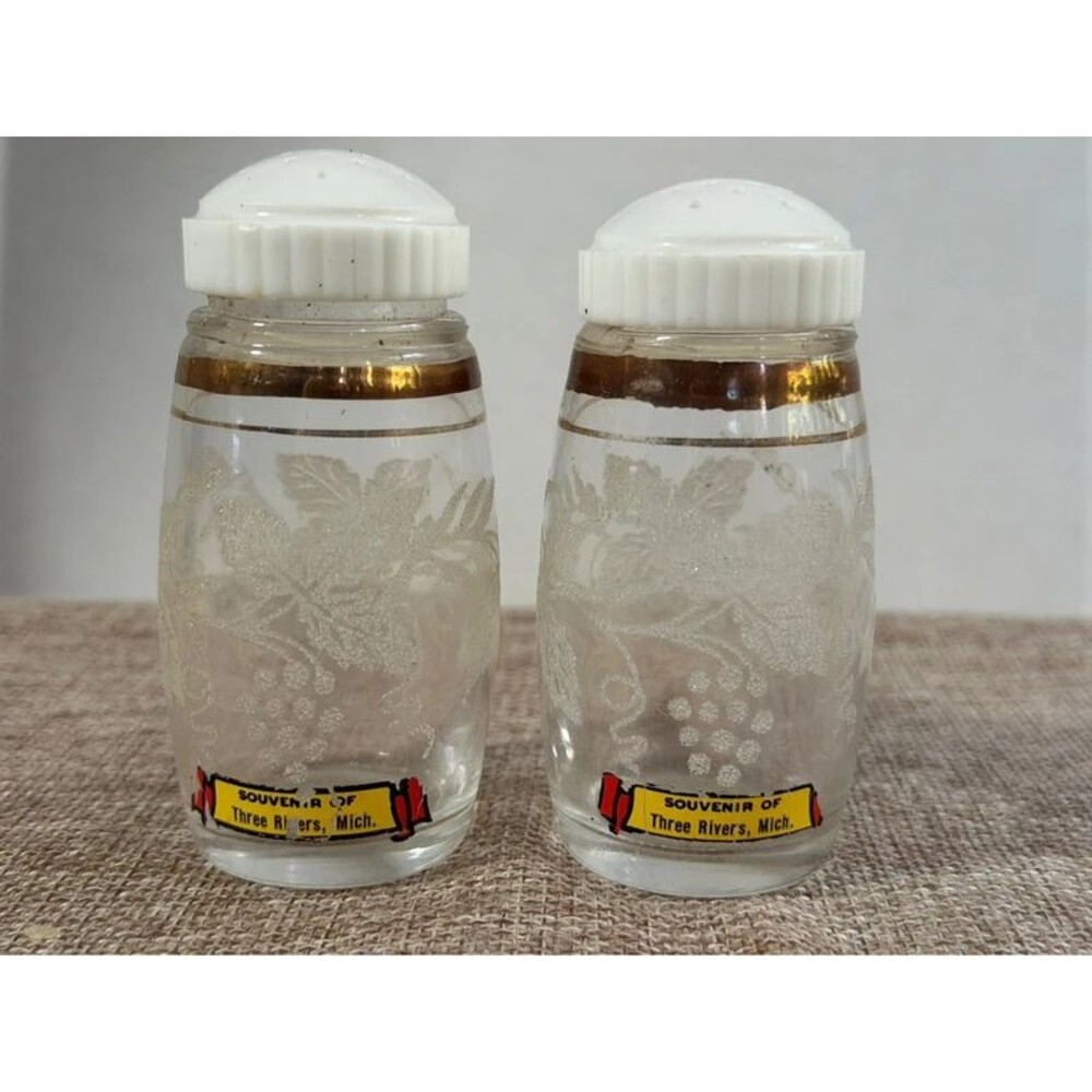 VTG 1950s Frosted Glass Grape Souvenir Salt & Pepper Shakers Three Rivers, MI